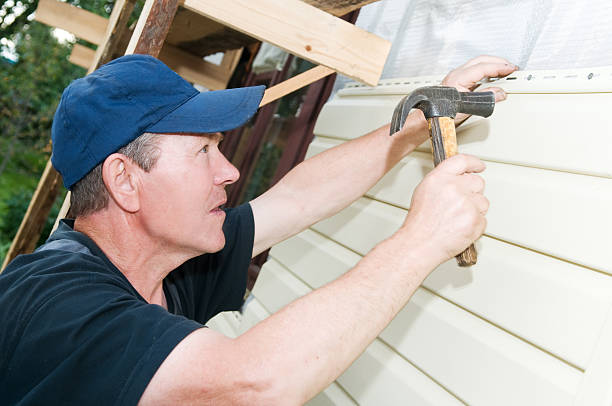 Best Vinyl Siding Installation  in Langdon, ND