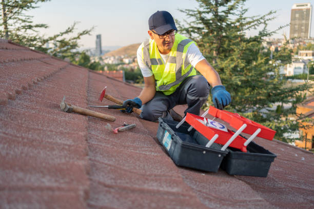 Storm Damage Siding Repair in Langdon, ND